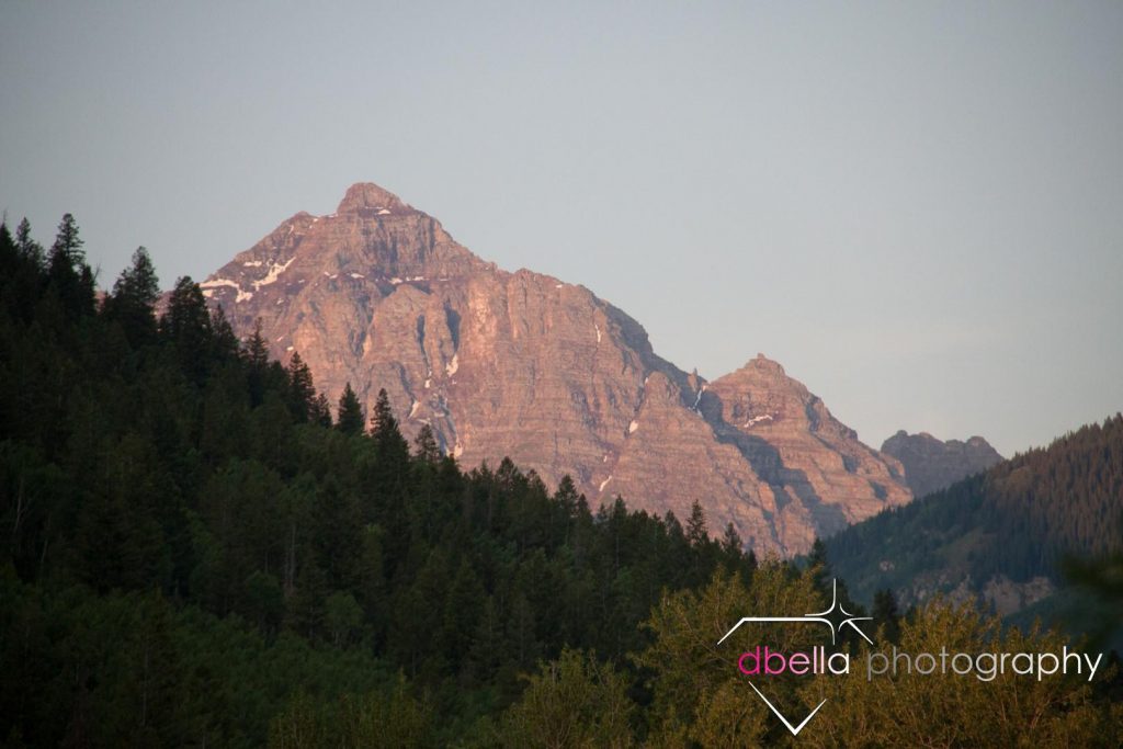 mountains and evergreens