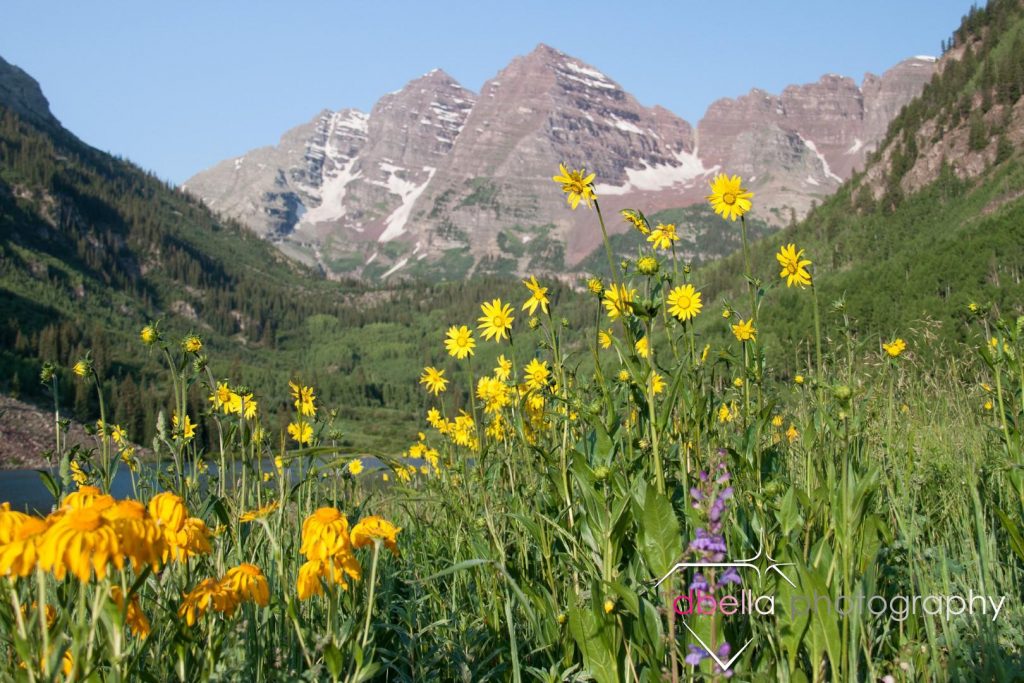 mountains and sunflowers