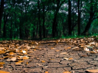 dry sidewalk