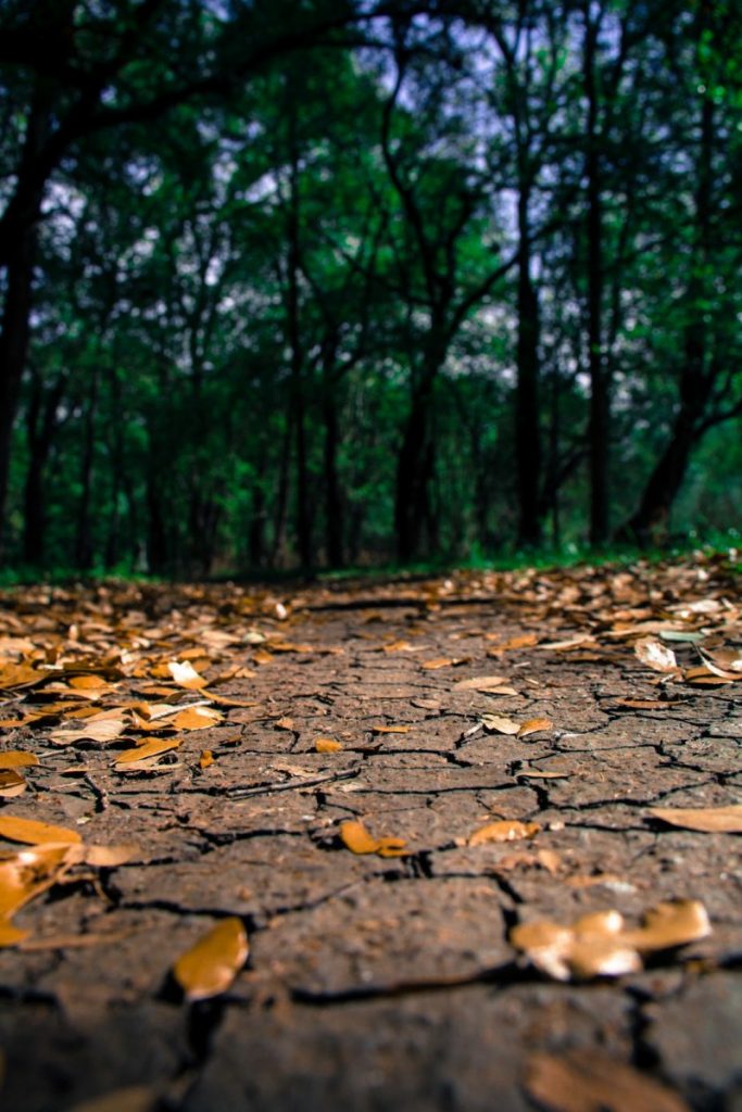 dry sidewalk