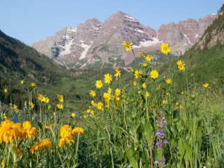maroon bells field